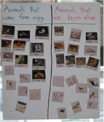 Egg Laying Animals Chart